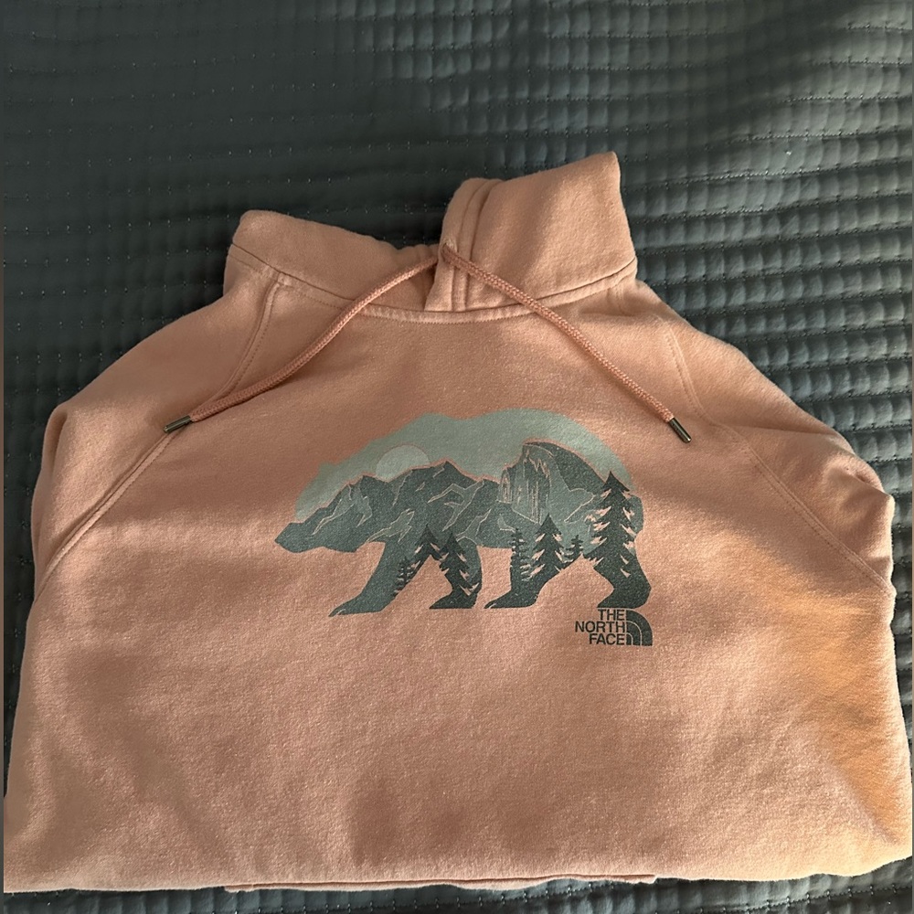 The North Face Hoodie